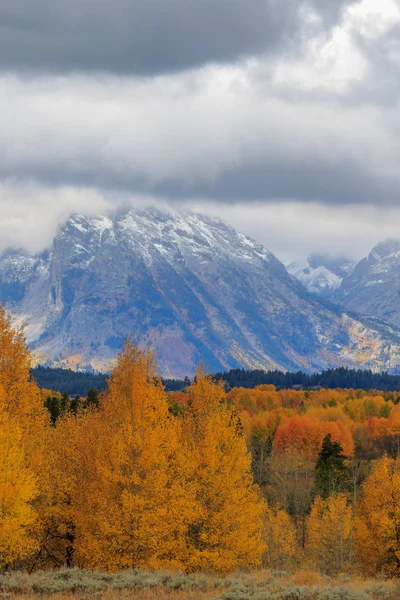 Het Schilderachtige Landschap Grand Teton National Park Het Najaar — Stockfoto