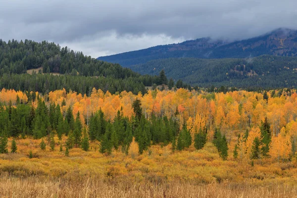 Paesaggio Panoramico Nel Grande Parco Nazionale Del Teton Autunno — Foto Stock