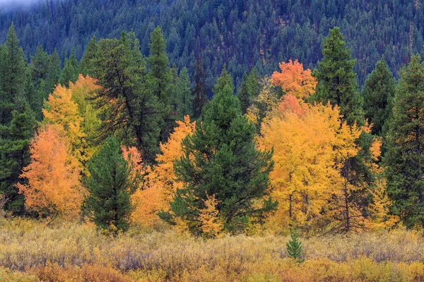 Malowniczy Krajobraz Grand Teton National Park Jesienią — Zdjęcie stockowe