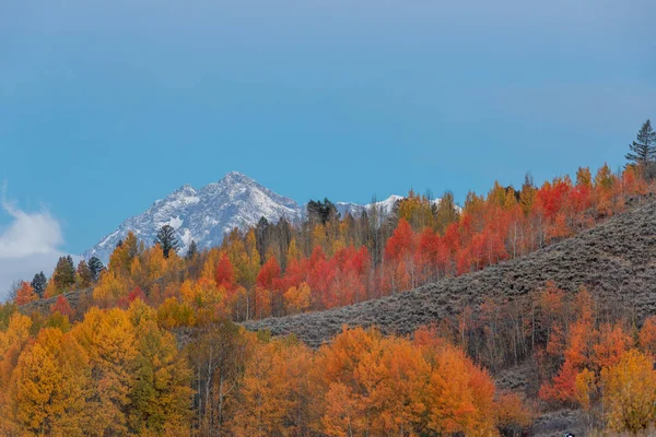 Paesaggio Panoramico Nel Grande Parco Nazionale Del Teton Autunno — Foto Stock