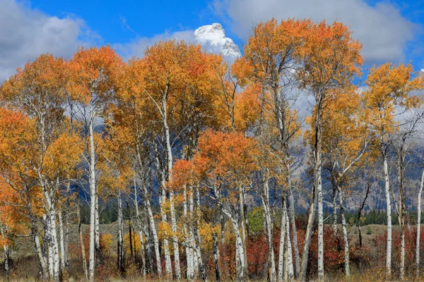 Мальовничий Пейзаж Національному Парку Великого Теону Восени — стокове фото