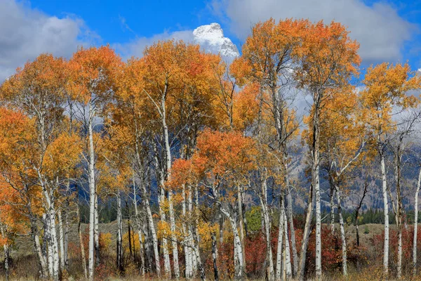 Paisaje Escénico Gran Parque Nacional Teton Otoño — Foto de Stock