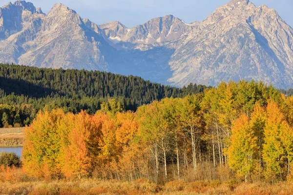 Schilderachtige Schoonheid Van Het Landschap Van Teton Herfst — Stockfoto