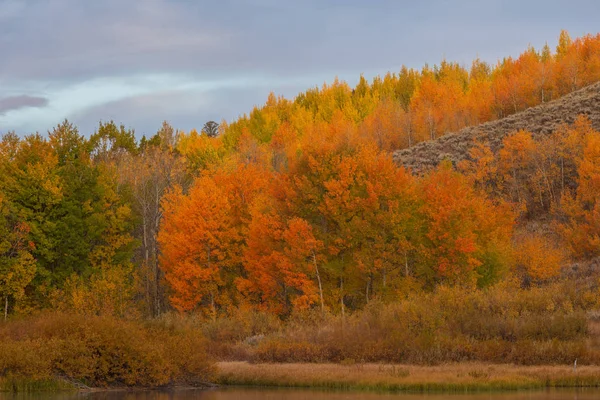 Eine Malerische Landschaft Den Tetonen Herbst — Stockfoto