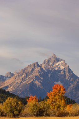 Sonbaharda Tetons 'da manzaralı bir manzara.
