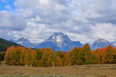 Sonbaharda Tetons 'da manzaralı bir manzara.