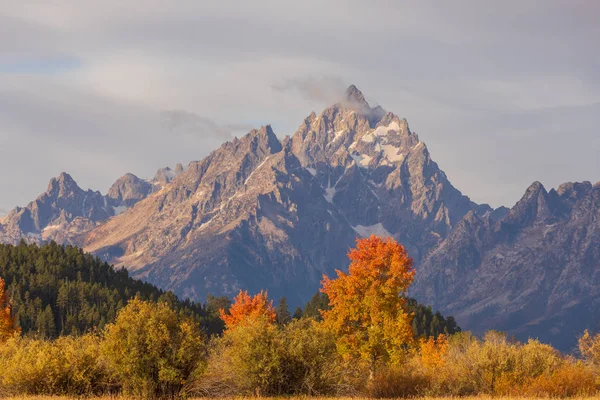 Paesaggio Panoramico Nei Teton Autunno — Foto Stock