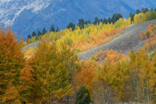 Scenic Landscape Tetons Autumn — Stock Photo, Image