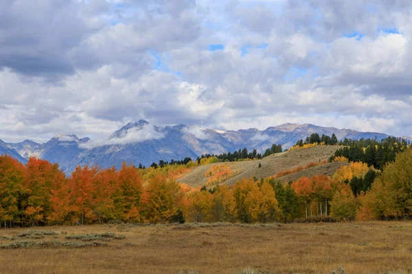 Een Schilderachtig Landschap Tetons Herfst — Stockfoto