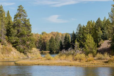 Grand Teton Ulusal Parkı Wyoming 'de manzaralı bir sonbahar manzarası.