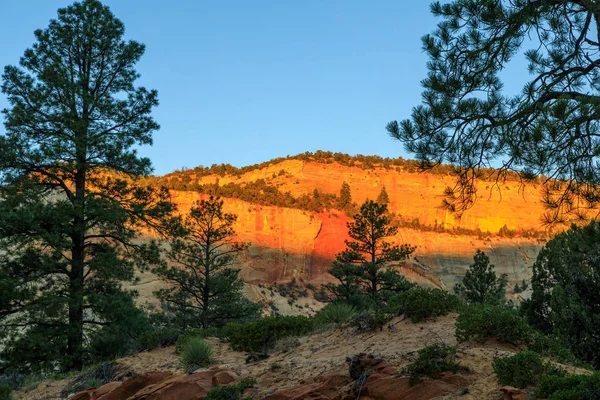Scenic Landscape Zion National Park Utah Fall — Stock Photo, Image