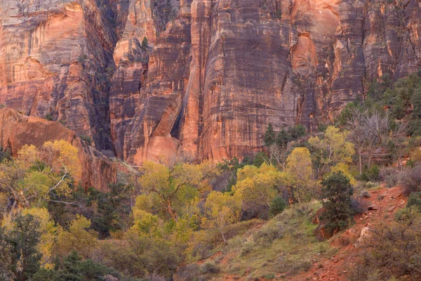 Scenic Landscape Zion National Park Utah Fall — Stock Photo, Image