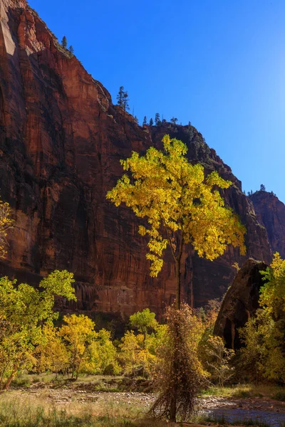 Paisaje Escénico Del Parque Nacional Sión Utah Otoño — Foto de Stock