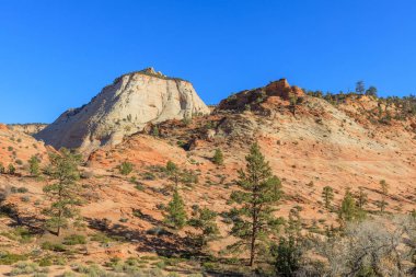 Zion national park Utah sonbaharda doğal peyzaj