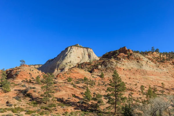 Het Schilderachtige Landschap Van Zion National Park Utah Het Najaar — Stockfoto