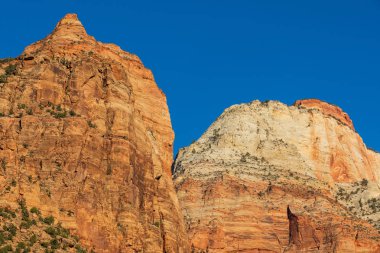 Zion National Park Utah doğal sonbahar manzara