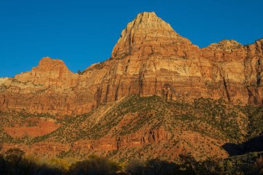 Zion National Park Utah doğal sonbahar manzara