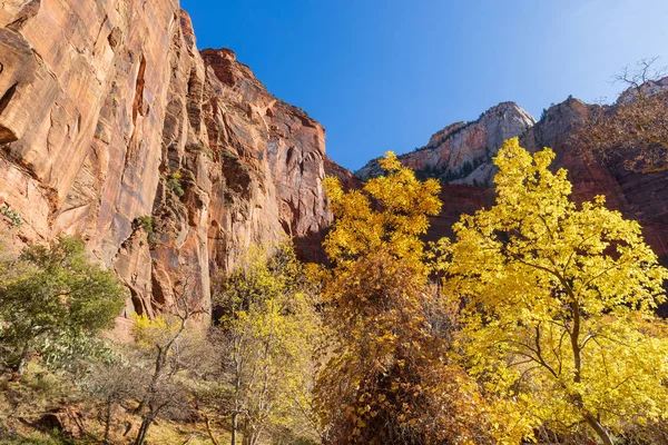 Zion National Park Utah Sonbaharda Doğal Peyzaj — Stok fotoğraf