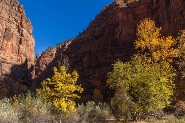 Die Malerische Landschaft Des Zion Nationalparks Utah Herbst — Stockfoto