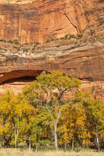 Γραφικό Τοπίο Της Εθνικό Πάρκο Zion Γιούτα Φθινόπωρο — Φωτογραφία Αρχείου