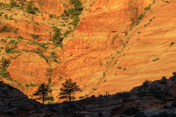 Die Zerklüftete Landschaftliche Landschaft Des Zion Nationalparks Utah — Stockfoto