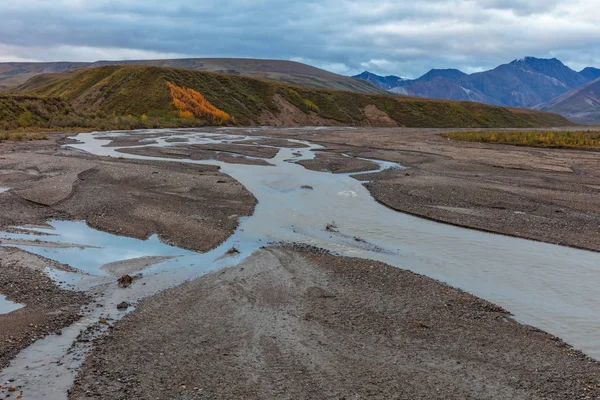 Det Natursköna Landskapet Denali Nationalpark Alaska — Stockfoto