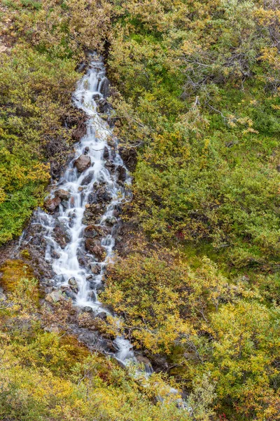 Paysage Pittoresque Parc National Denali Alaska — Photo