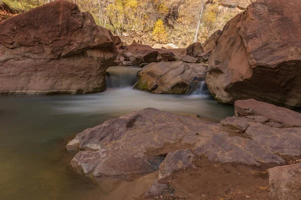 Rzeki Dziewica Przepływa Przez Park Narodowy Zion Utah Jesienią — Zdjęcie stockowe