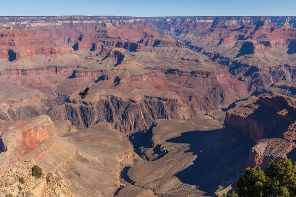 Paysage Accidenté Grand Canyon Depuis Bord Sud — Photo
