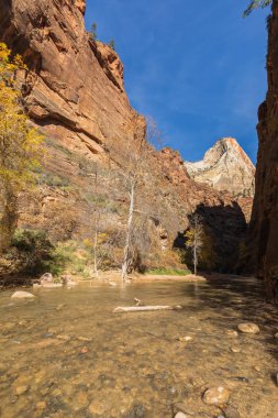 sonbaharda Zion National Park Utah daraltır doğal