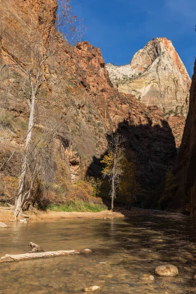 Scenic Narrows Zion National Park Utah Fall — Stock Photo, Image