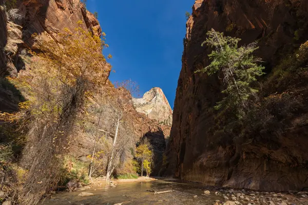 Scenic Narrows Zion National Park Utah Fall — Stock Photo, Image