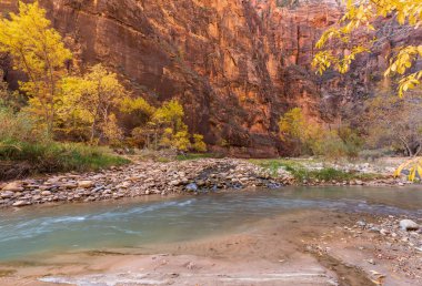 Zion national park Utah sonbaharda doğal peyzaj