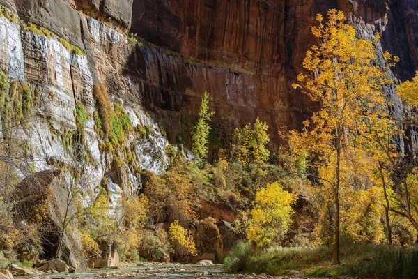 Scenic Landscape Zion National Park Utah Autumn — Stock Photo, Image