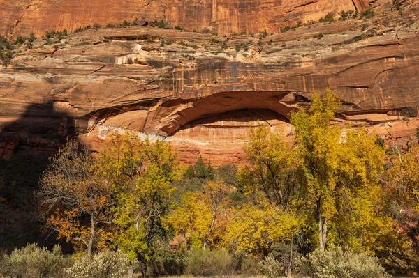 Scenic Landscape Zion National Park Utah Autumn — Stock Photo, Image