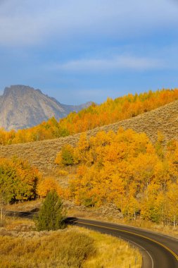 sonbaharda tetons doğal peyzaj