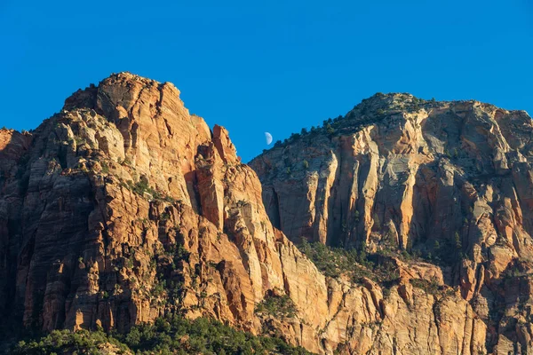 Scenic Landscape Zion National Park Utah — Stock Photo, Image