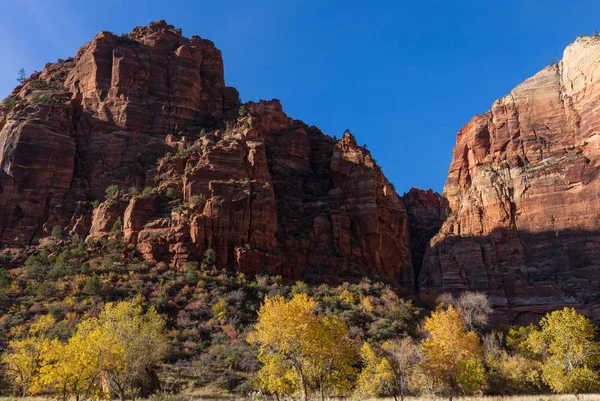 Paisaje Escénico Del Parque Nacional Zion Utah —  Fotos de Stock