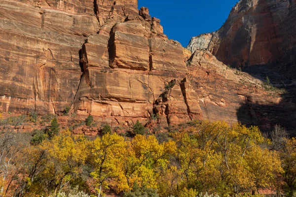 Scenic Landscape Zion National Park Utah — Stock Photo, Image