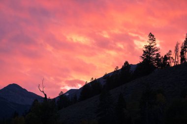 güzel bir gün batımı Wyoming tetons içinde Güz