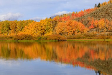 sonbaharda doğal peyzaj Grand Teton Milli Parkı