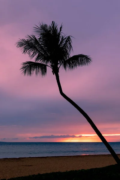 Una Hermosa Puesta Sol Tropical Isla Maui — Foto de Stock