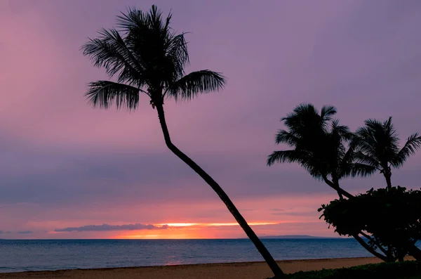 Vacker Tropisk Solnedgång Maui — Stockfoto