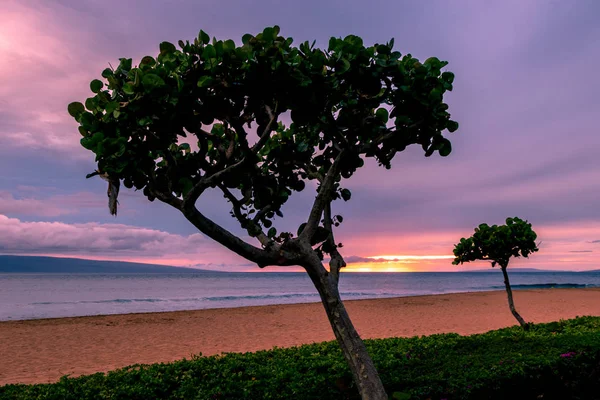 Ein Schöner Tropischer Sonnenuntergang Auf Der Insel Maui — Stockfoto