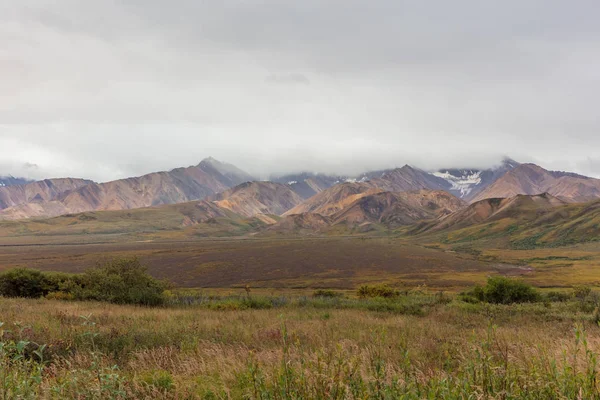 Paesaggio Panoramico Nel Denali National Park Alaska Autunno — Foto Stock