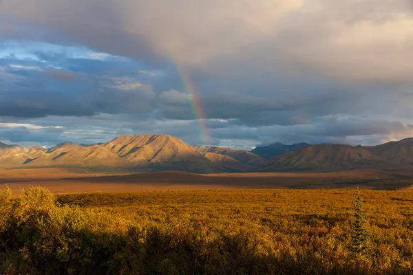 Festői Őszi Táj Denali Nemzeti Park Alaszka — Stock Fotó