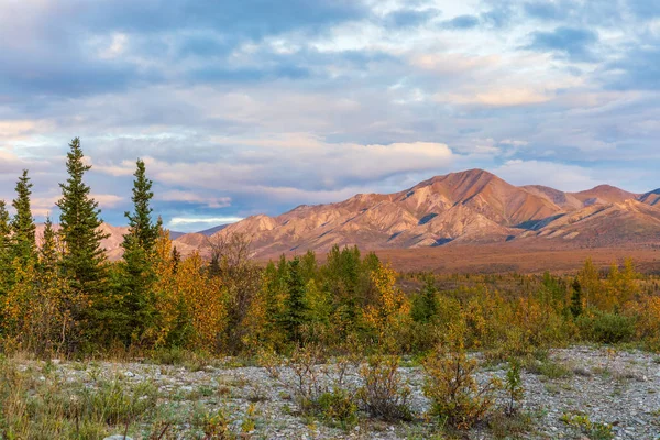 Scenic Autumn Landscape Denali National Park Alaska — Stock Photo, Image