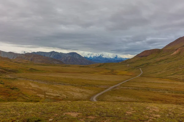 Denali Milli Parkı Alaska Doğal Sonbahar Manzara — Stok fotoğraf