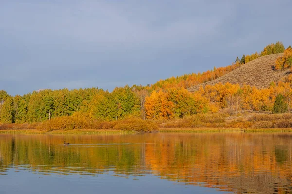 Een Schilderachtige Landschap Van Tetons Herfst — Stockfoto