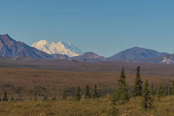 Malebnou Krajinou Aljašky Denali National Park Počátkem Podzimu — Stock fotografie